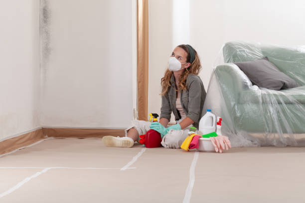 Reliable Mold Remediation contractor in North Merritt Island, FL by 24 Hour Mold Removal
